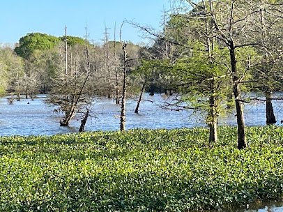 Leake County Water Park photo 6
