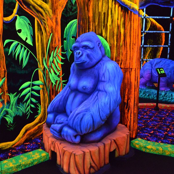 Zap Zone Glo-Golf photo 6