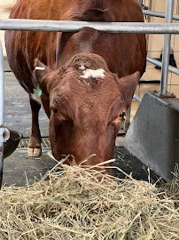 Farm in the Zoo photo 6