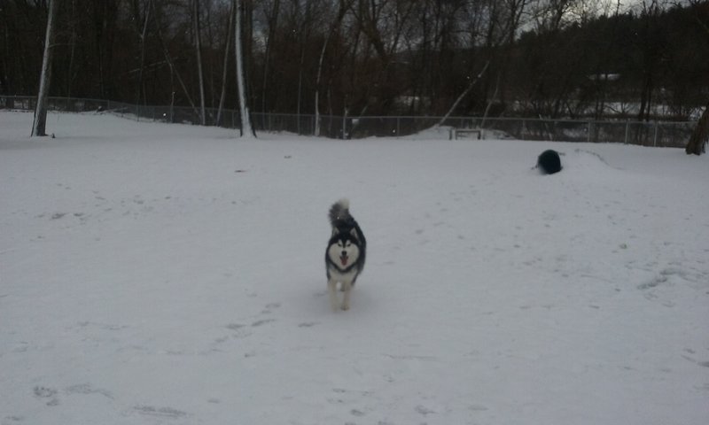The Ice Center photo 5