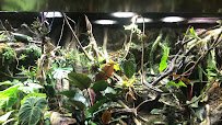 Steinhart Aquarium photo 2
