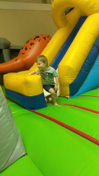 The Dinosaur Playground Bounce House photo 3