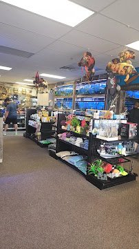 Sunken Ship Aquatics photo 2