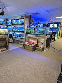 Sunken Ship Aquatics photo 4