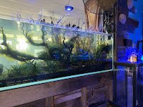 Sunken Ship Aquatics photo 5