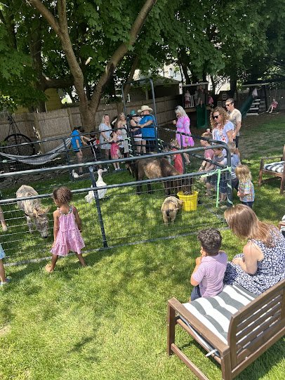 The Rusty Buckle Petting Zoo & Pony Parties photo 2
