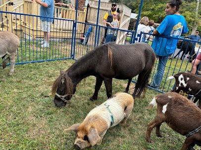 The Rusty Buckle Petting Zoo & Pony Parties photo 4