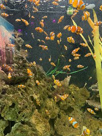 Dallas Aquarium Education Center photo 3