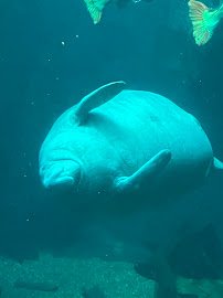 Dallas Aquarium Education Center photo 4