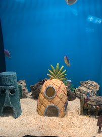 Dallas Aquarium Education Center photo 5
