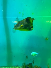 Dallas Aquarium Education Center photo 6