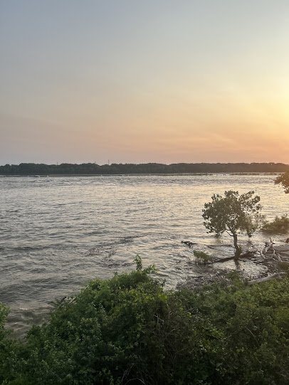 Falls of the Ohio Interpretive Center photo 5
