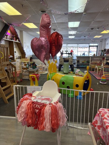 Stay 'n Play Indoor Play Gym, LLC photo 3