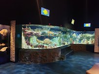 Cook Museum of Natural Science photo 3