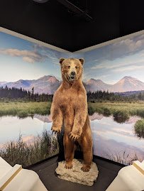 Cook Museum of Natural Science photo 5