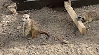 Pueblo Zoo photo 2