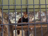 Pueblo Zoo photo 4