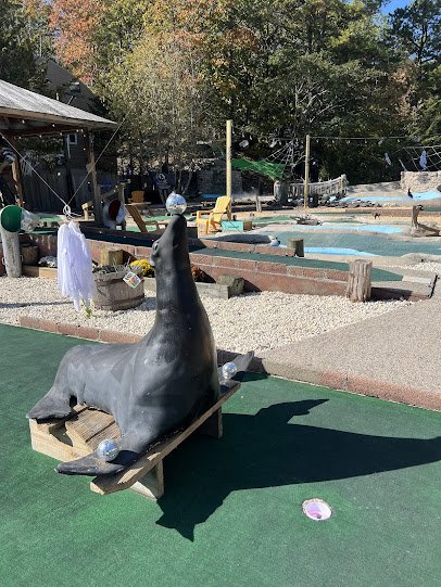 Something To Do NJ Miniature Golf photo 2