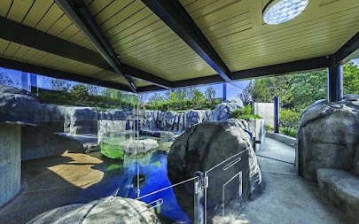 Robert and Mayari Pritzker Penguin Cove photo 6