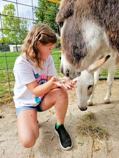 Green Meadows Petting Farm