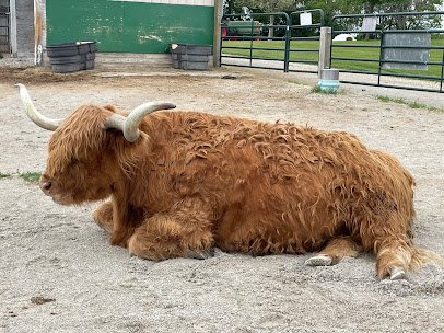 Green Meadows Petting Farm photo 4