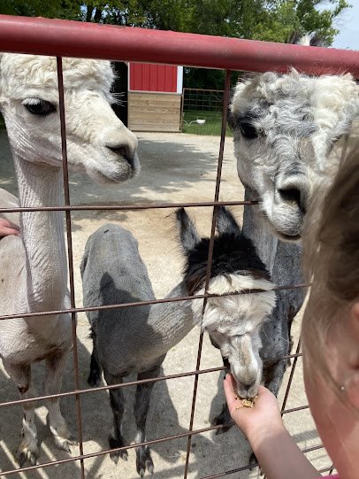 Green Meadows Petting Farm photo 6