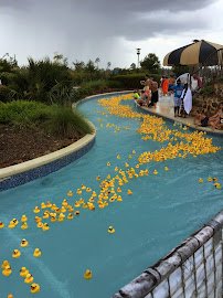 Rob Fleming Aquatic Center photo 5