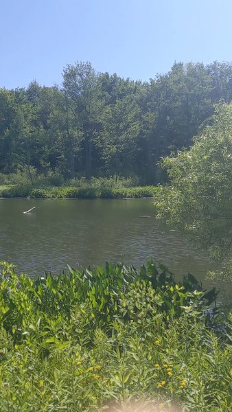 North Chagrin Nature Center photo 2