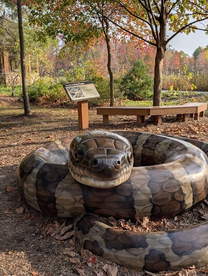North Chagrin Nature Center photo 6