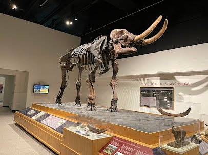 New York State Museum photo 3