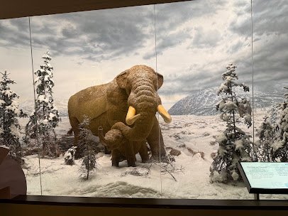 New York State Museum photo 4