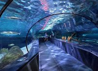 Ripley's Aquarium of Myrtle Beach
