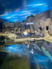 Ripley's Aquarium of Myrtle Beach photo 5