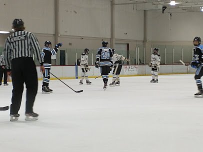 Hazel Park Ice Arena photo 5