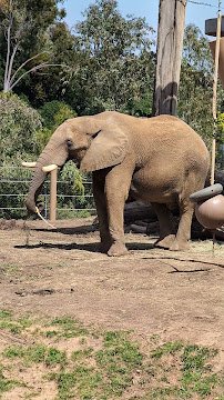 San Diego Zoo Picnic Area