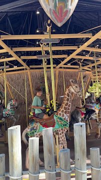 San Diego Zoo Picnic Area photo 3