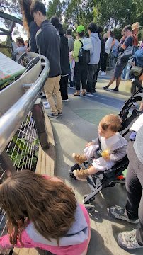 San Diego Zoo Picnic Area photo 4