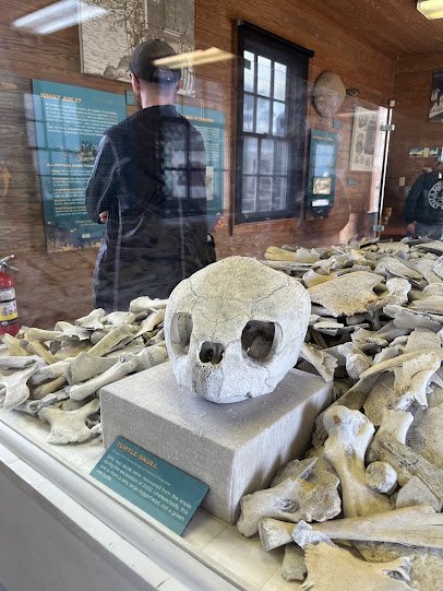 Turtle Cannery Museum photo 3