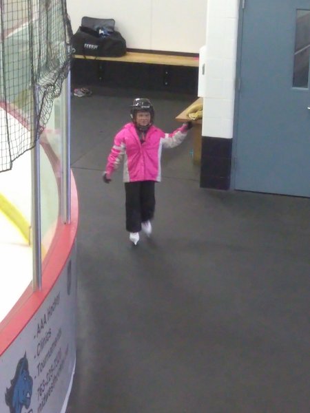 Moose Sherritt Ice Arena photo 4