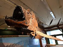 Museum of World Treasures photo 6