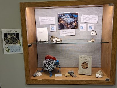 Brooklyn Public Library - Brower Park Branch at Brooklyn Children's Museum photo 4
