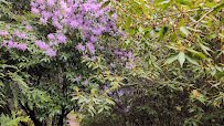 Rhododendron Species Botanical Garden photo 2