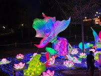 Wild Lights at the STL Zoo photo 3