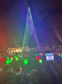 Wild Lights at the STL Zoo photo 6