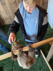 Traveling Acres Petting Zoo (Open by appointment Only) photo 6