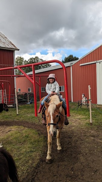 Mary's Country Critters Mobile Pony Rides and Mobile Petting Zooand petting zoo