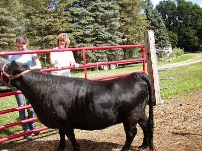 Mary's Country Critters Mobile Pony Rides and Mobile Petting Zooand petting zoo photo 4