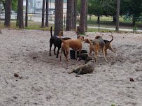 Long Leaf Park Splashpad photo 4