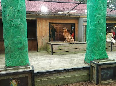 Safari Lodge Photo Encounter (Reservation Only) photo 4