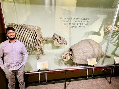 The Harvard Museum of Natural History photo 6